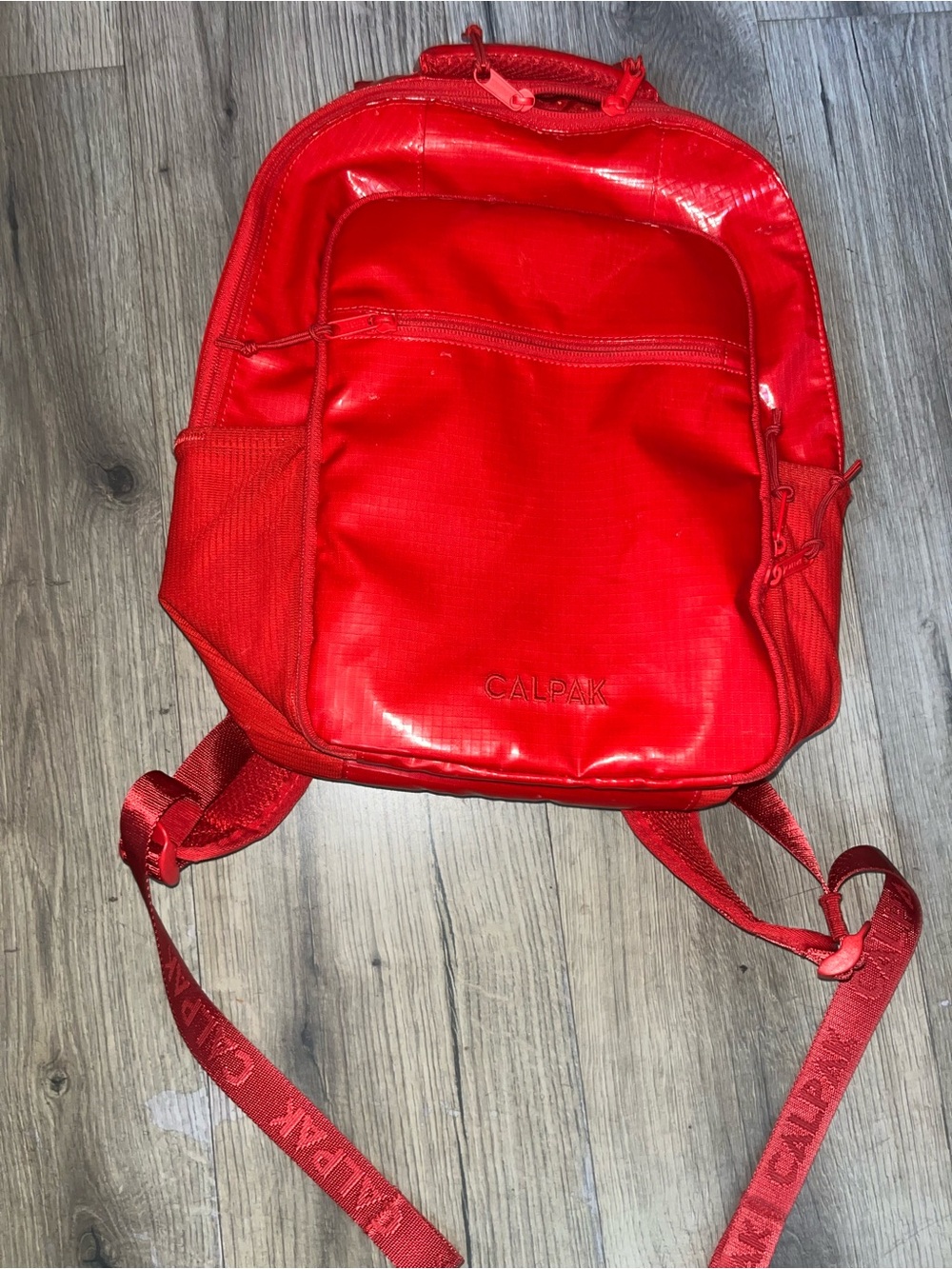 Calpak Red Terra Laptop Backpack